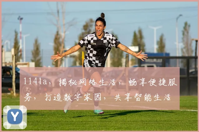 114la，揭秘网络生活，畅享便捷服务，打造数字家园，共享智能生活。