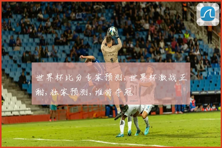 世界杯比分专家预测,世界杯激战正酣,独家预测,谁将夺冠
